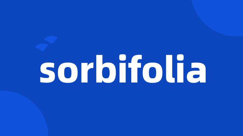 sorbifolia