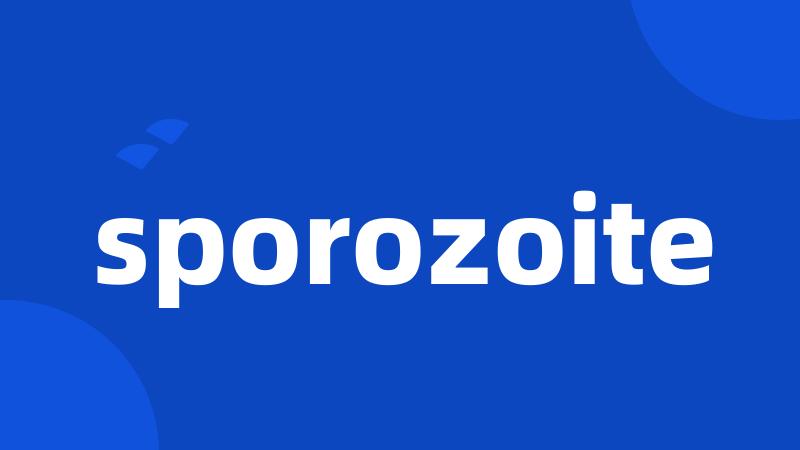 sporozoite