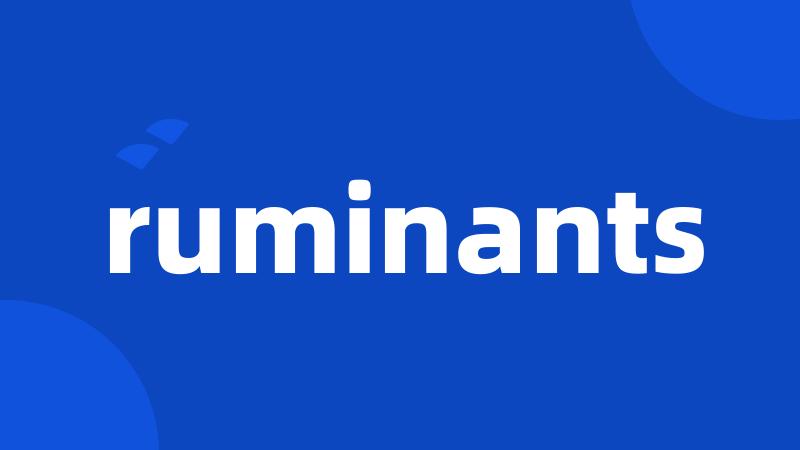 ruminants