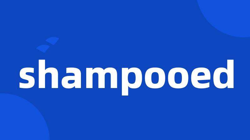 shampooed