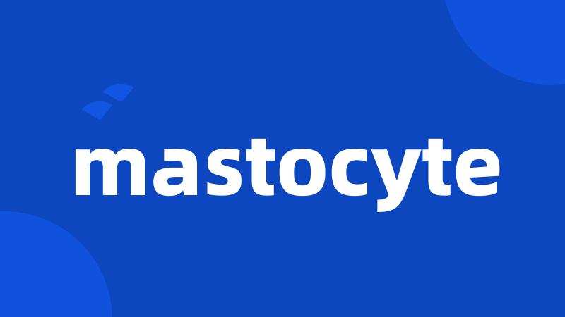 mastocyte