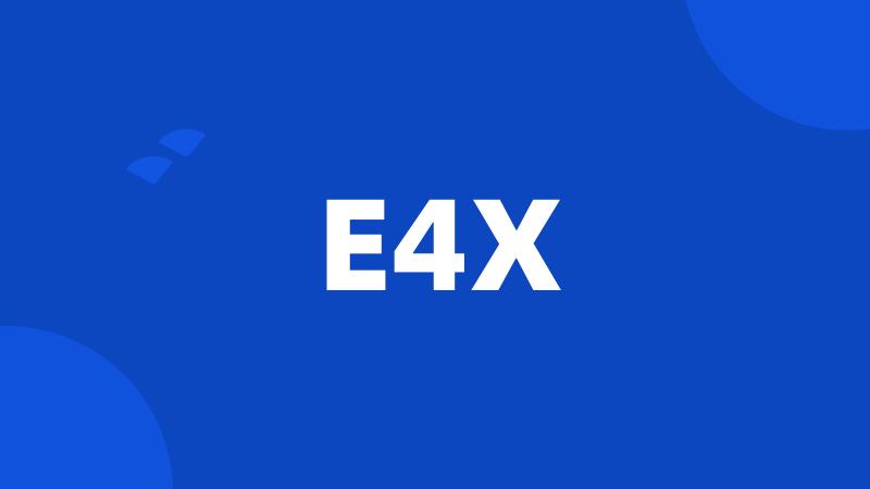 E4X