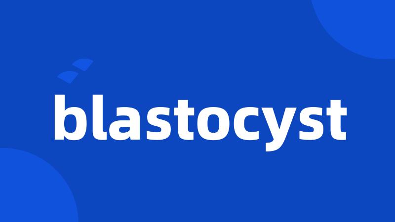 blastocyst