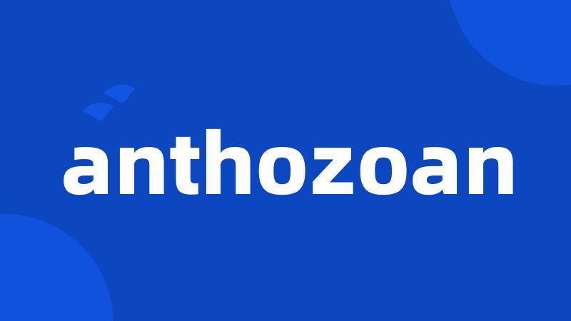 anthozoan