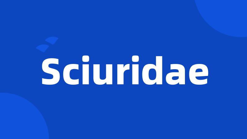 Sciuridae