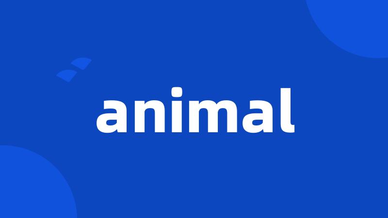 animal