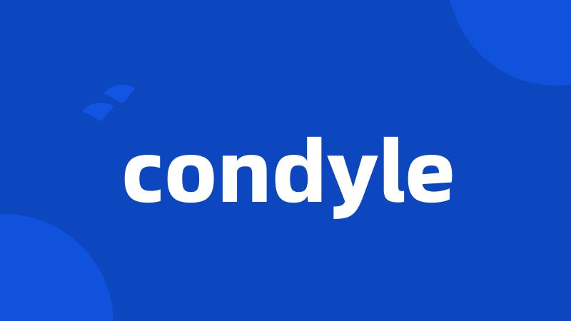 condyle