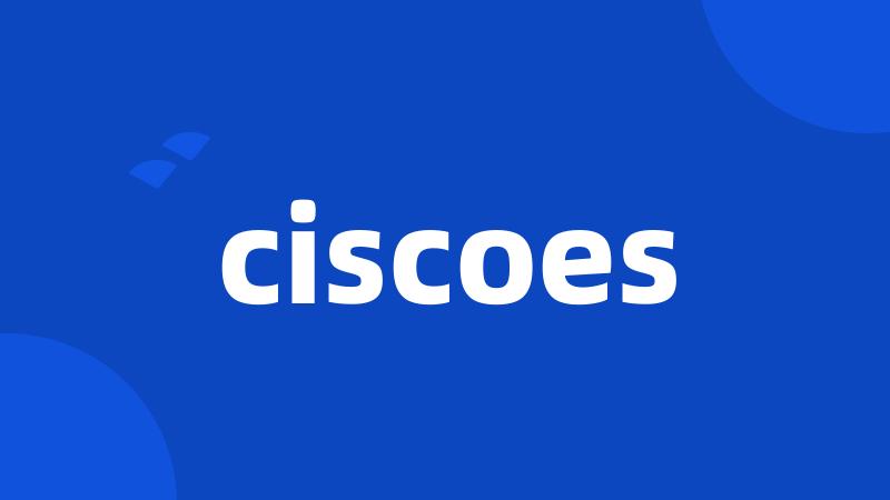 ciscoes