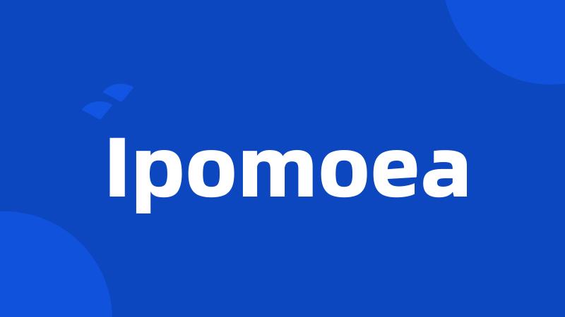 Ipomoea