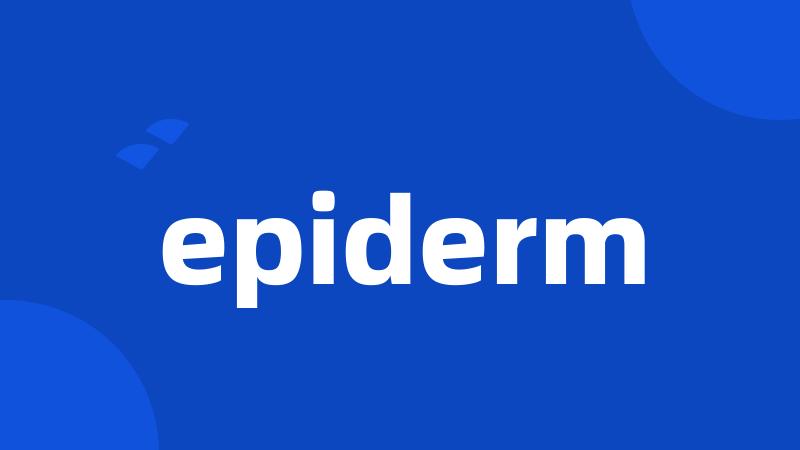 epiderm