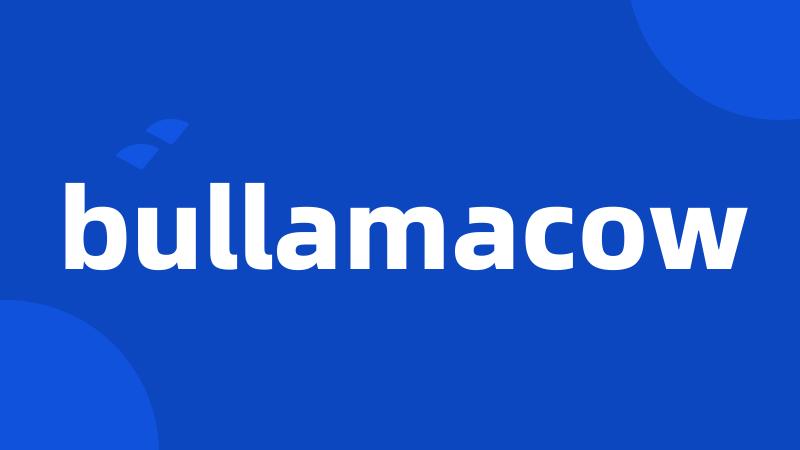 bullamacow