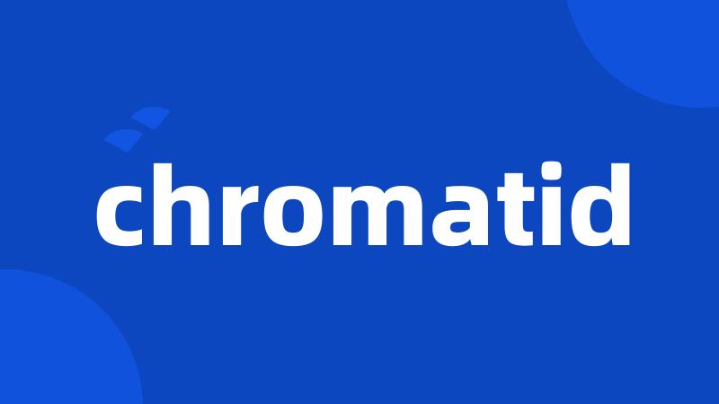 chromatid