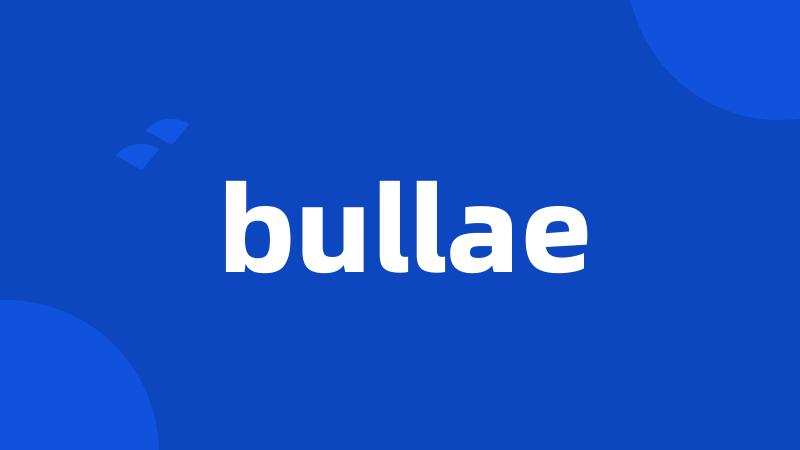 bullae