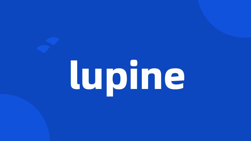 lupine