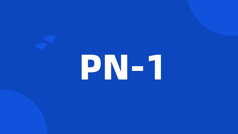 PN-1