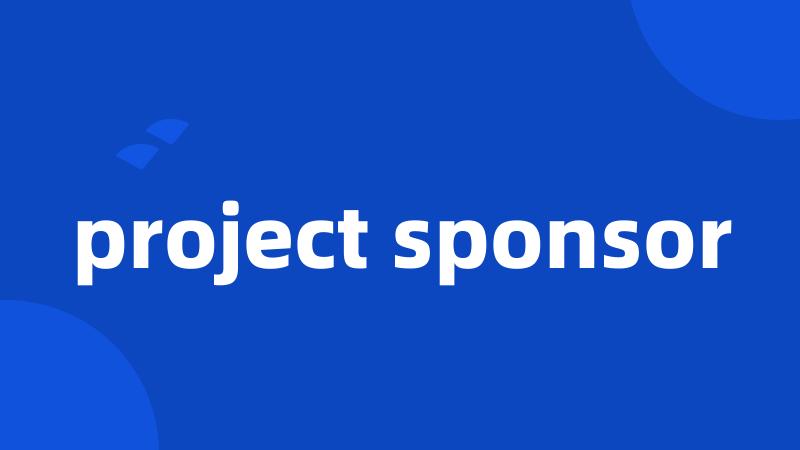 project sponsor