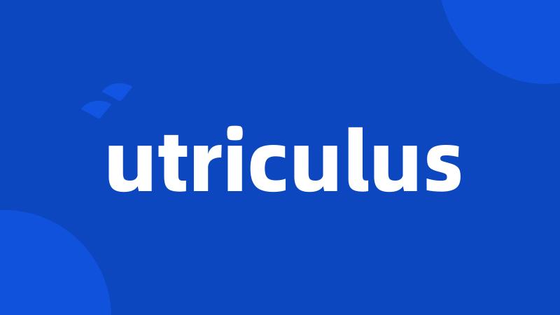 utriculus