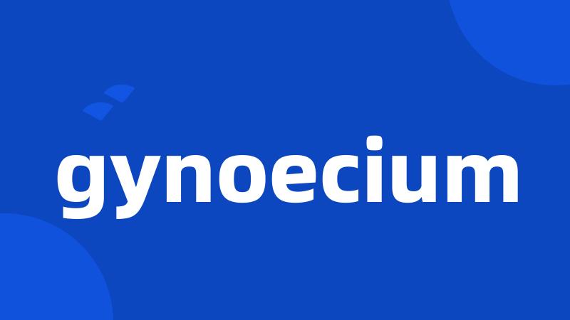 gynoecium