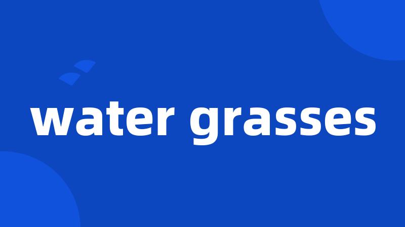 water grasses