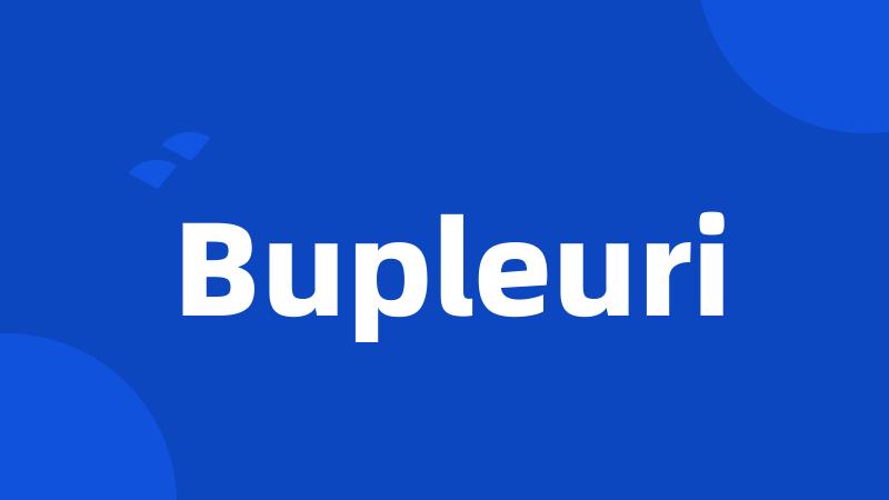 Bupleuri