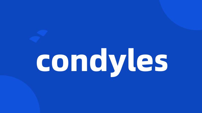 condyles