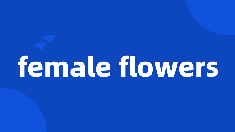 female flowers