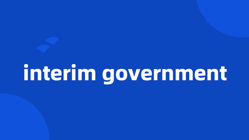 interim government