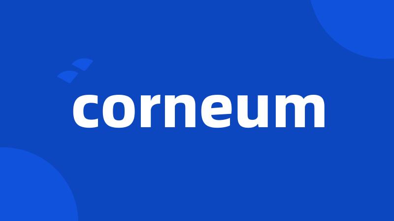 corneum
