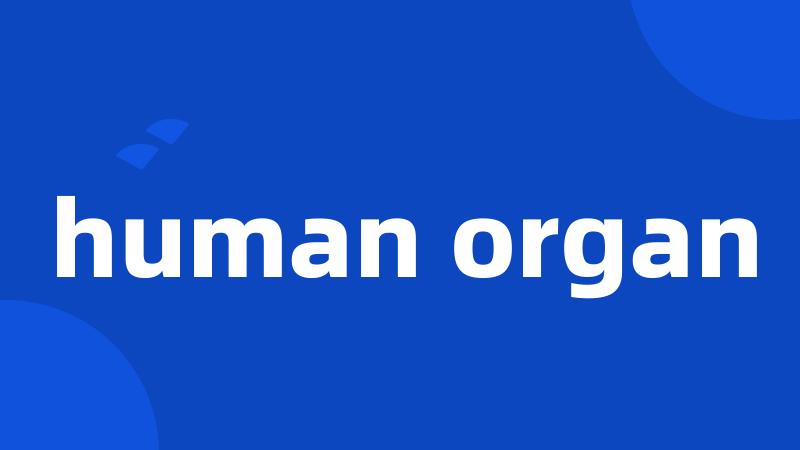 human organ