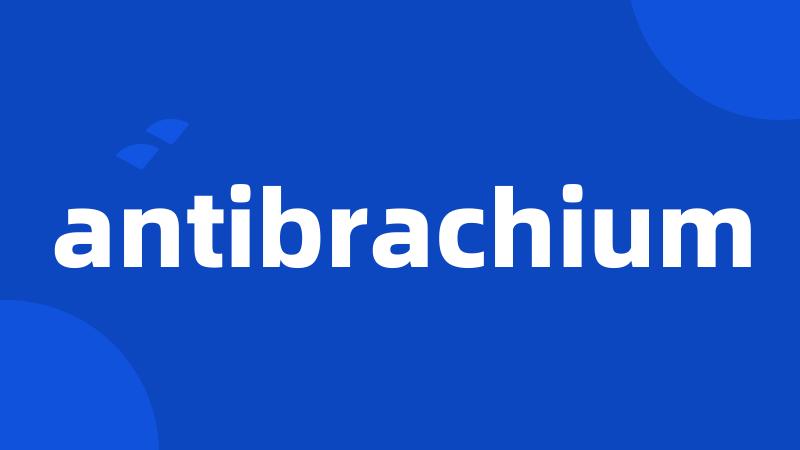 antibrachium