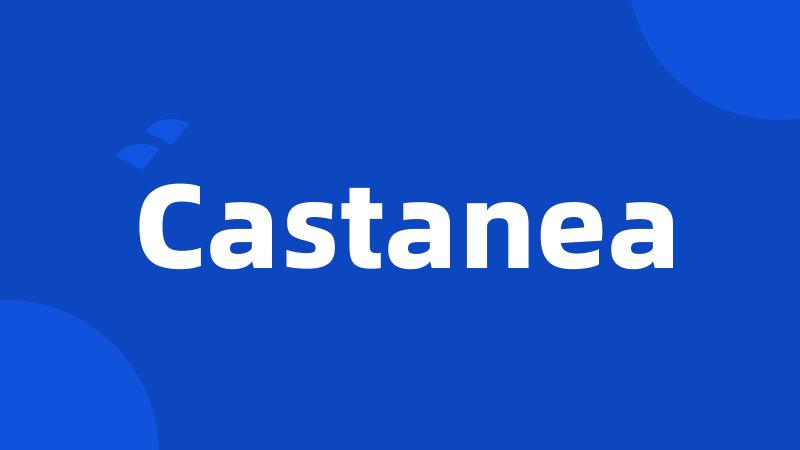 Castanea