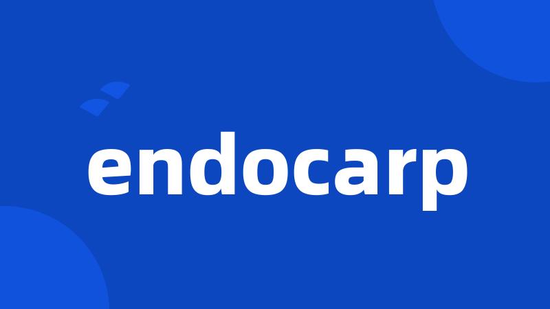 endocarp
