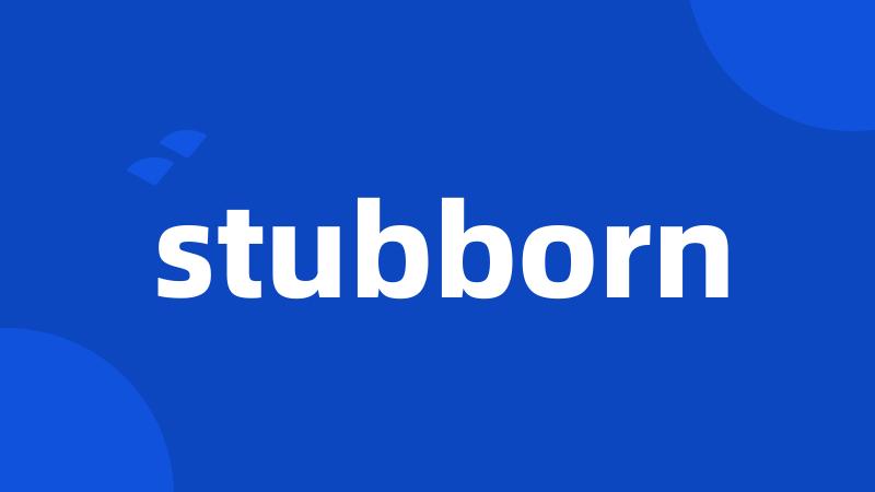 stubborn