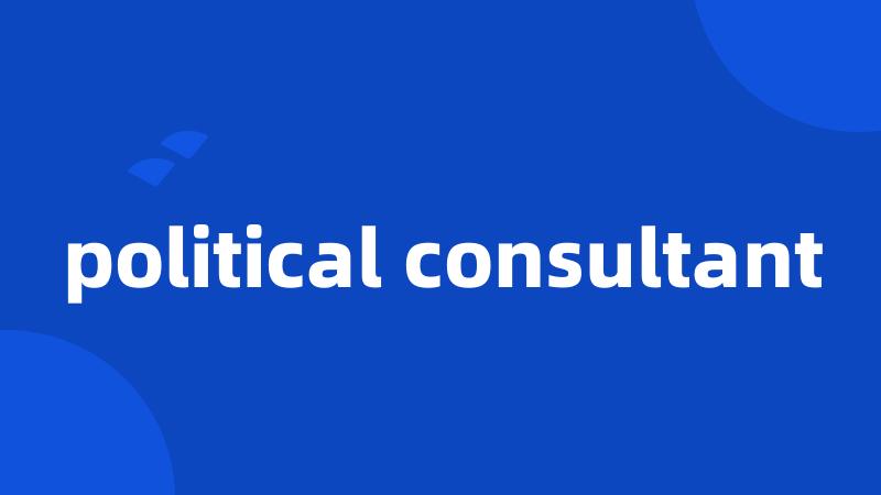 political consultant