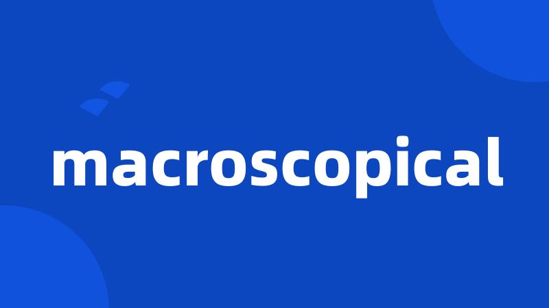 macroscopical