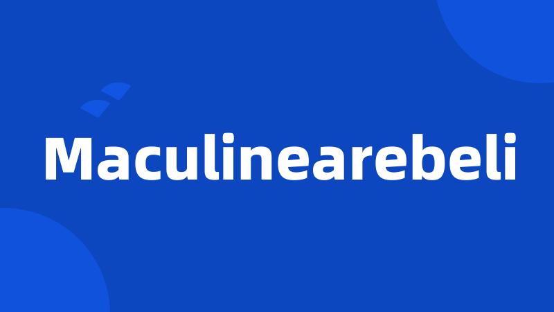 Maculinearebeli