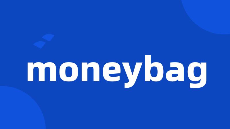 moneybag