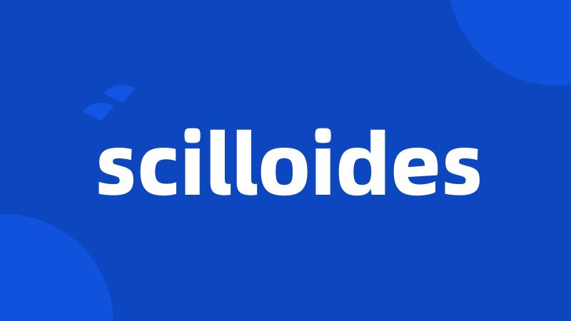 scilloides