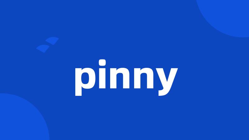 pinny