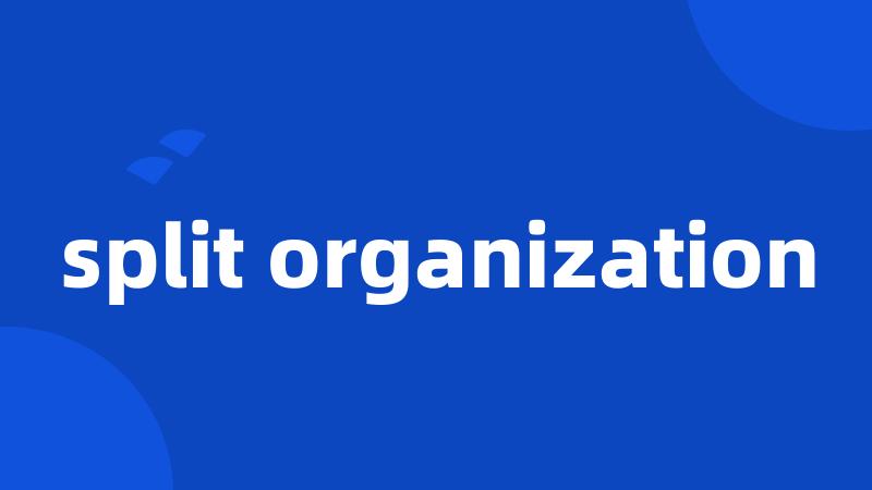 split organization
