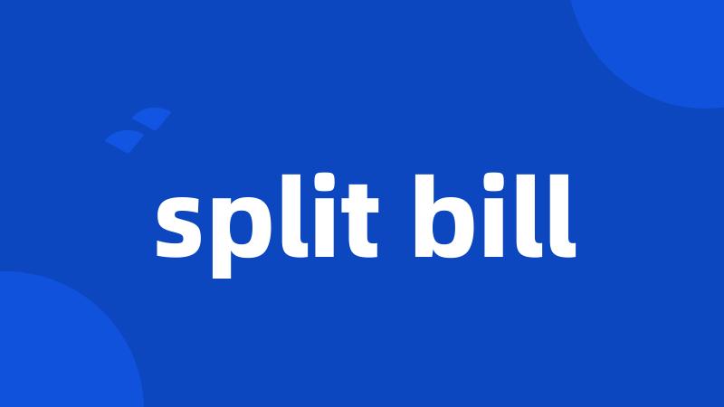 split bill