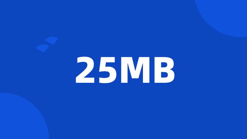 25MB