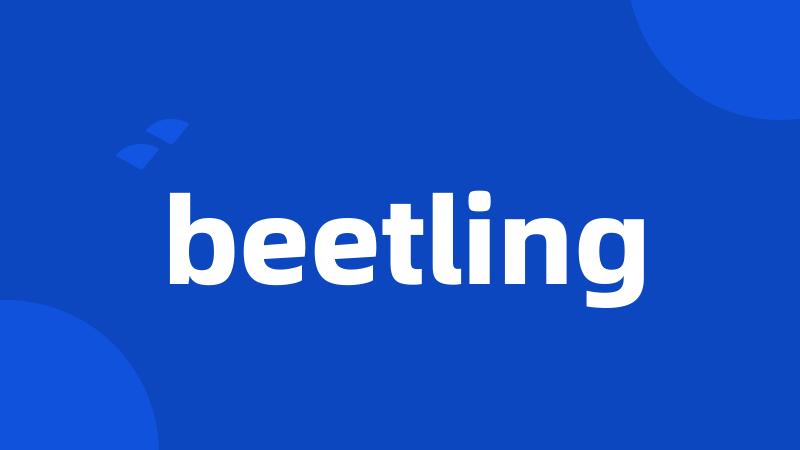 beetling