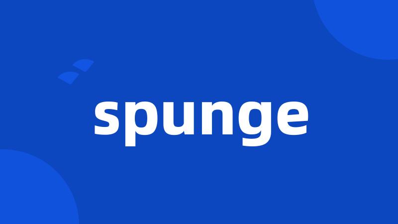 spunge