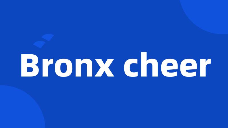 Bronx cheer