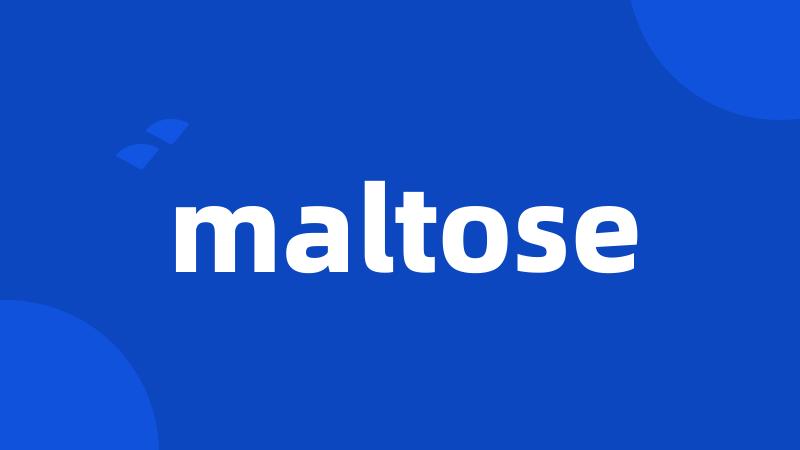 maltose