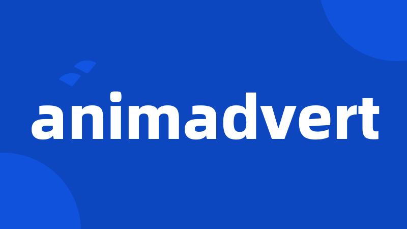 animadvert