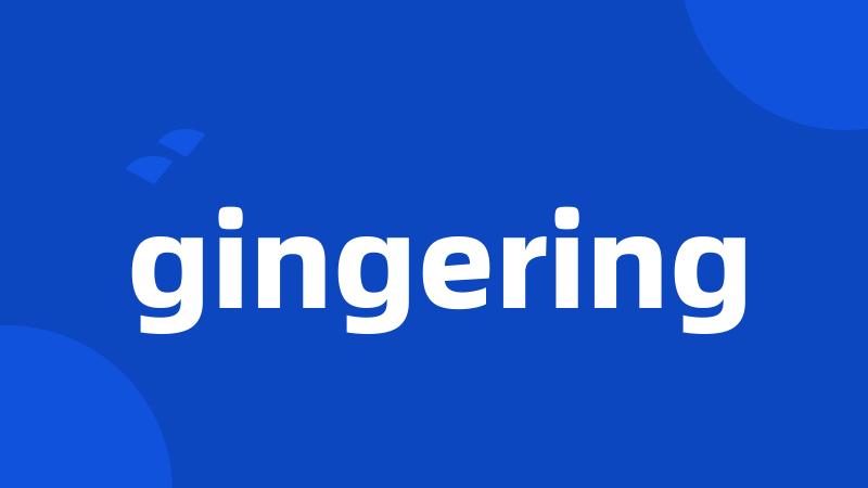 gingering