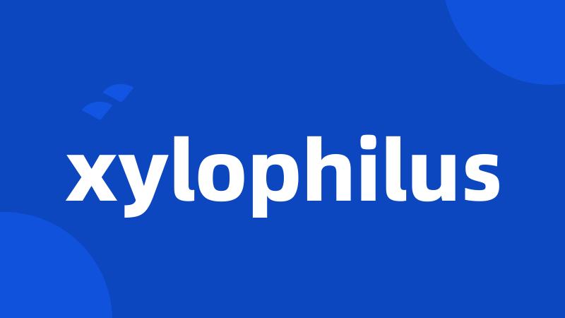 xylophilus