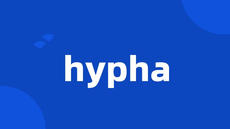 hypha